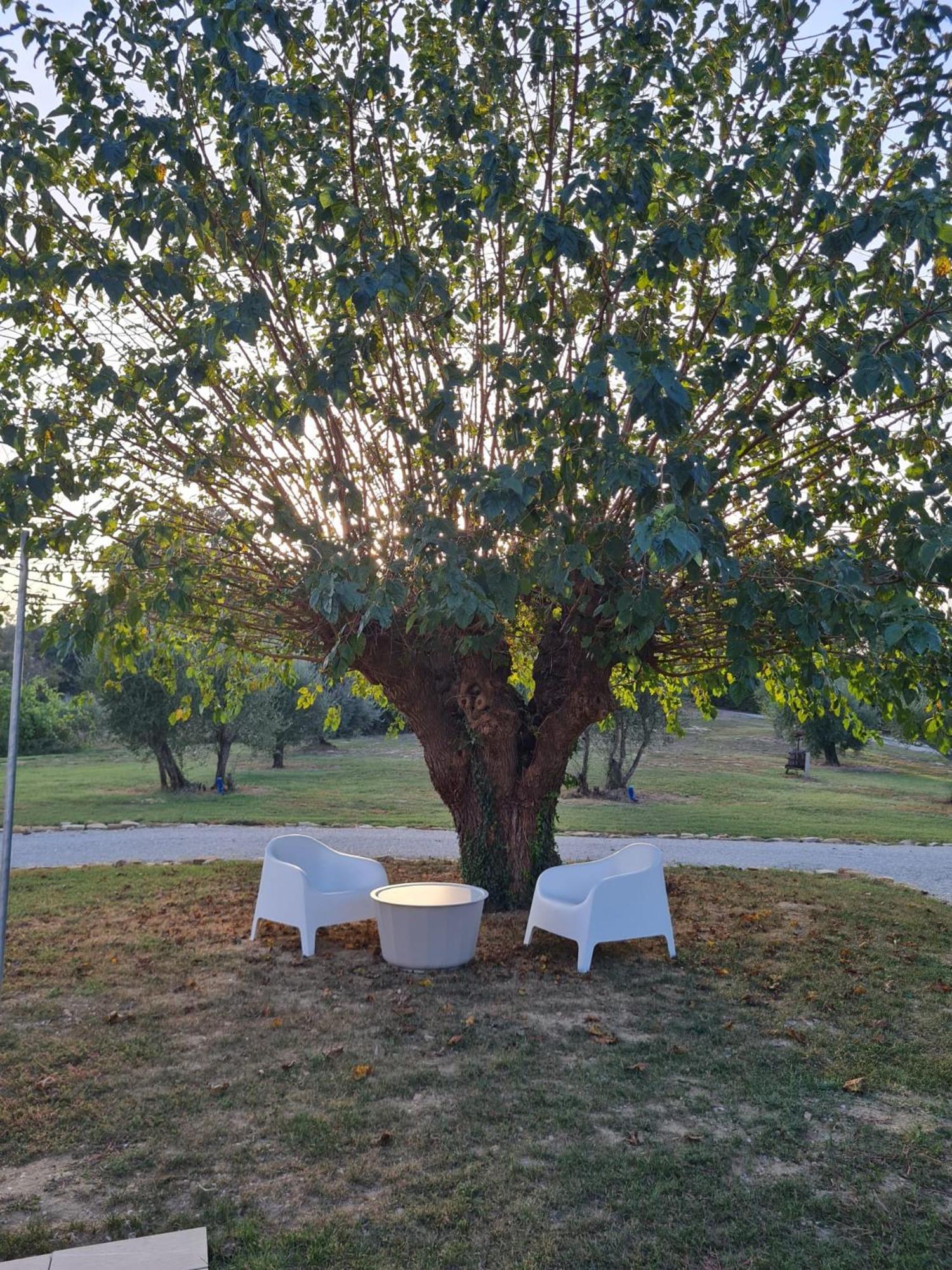 Orto Della Lepre Villa Montemaggiore al Metauro Eksteriør billede